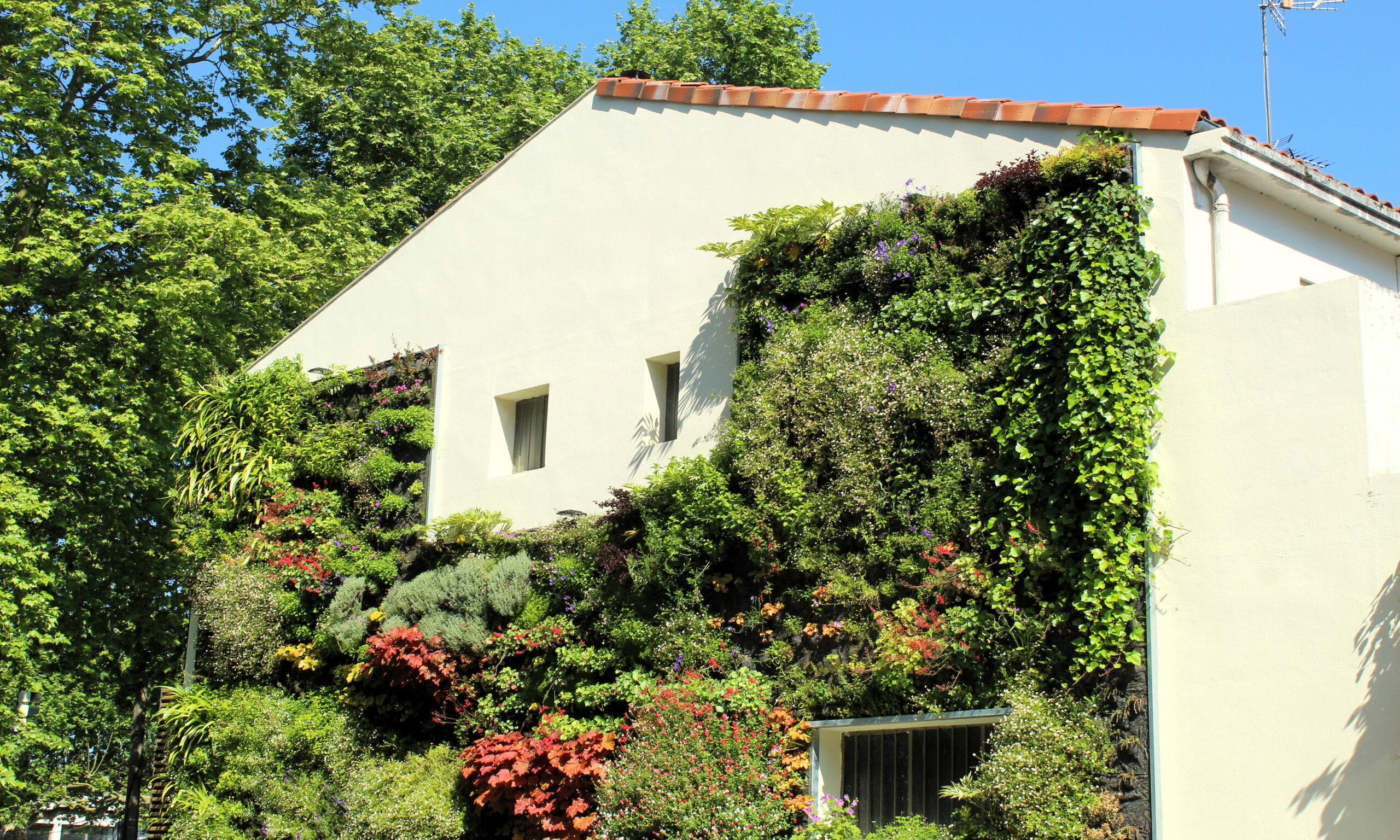 Toitures et murs végétalisés en collaboration